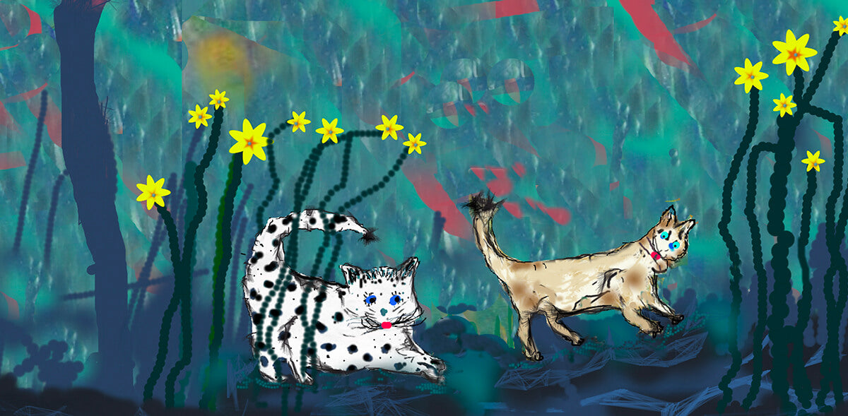 Spotty Dotty, written and illustrated by Catherine Beach